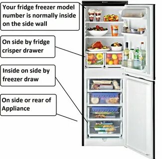 Fridge перевод на русский