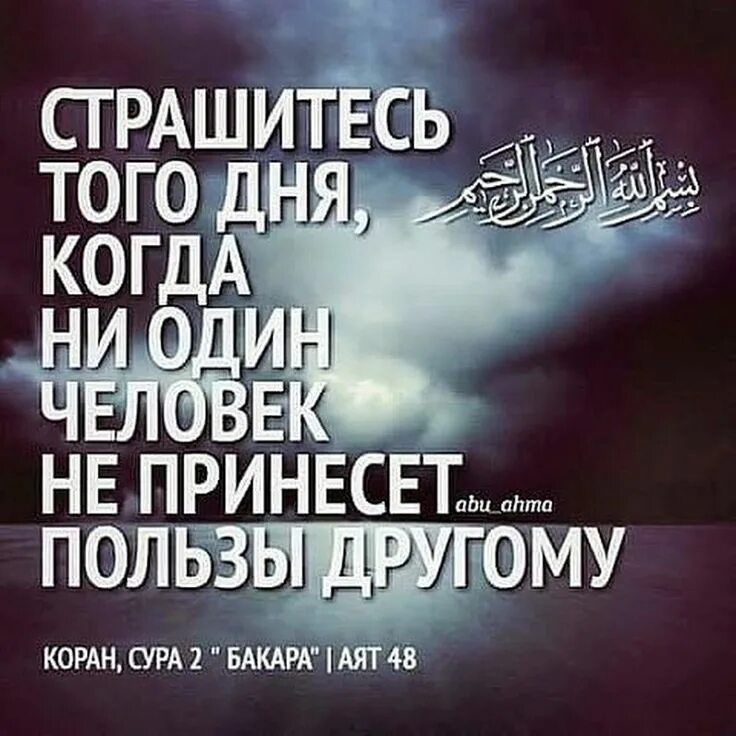 Цитаты из корана с переводом. Исламские цитаты. мусульманские цитаты. цитаты из корана. аят корана.