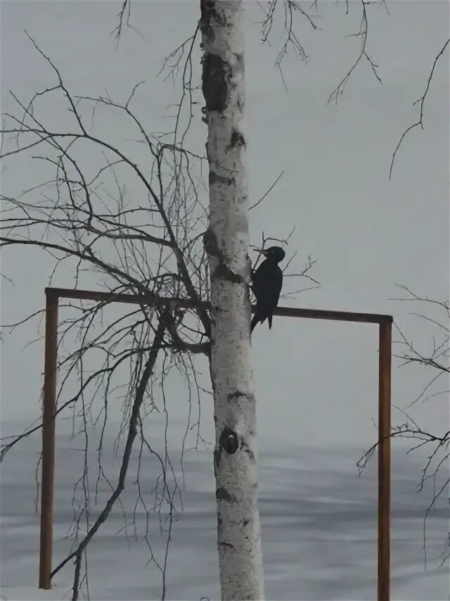 Смирных 8
