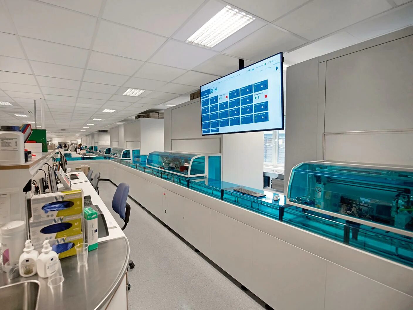 Labs bma