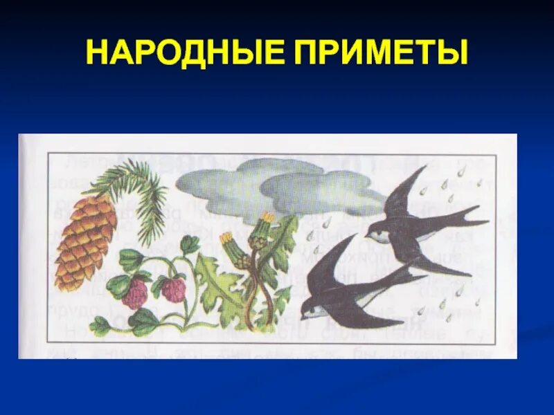 Народные приметы рисунок. Народные приметы рисунок. Русские народные суеверия. Народные приметы о погоде иллюстрации. Нарисовать народные приметы.