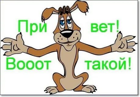 Ну здравствуй как жизнь как дела