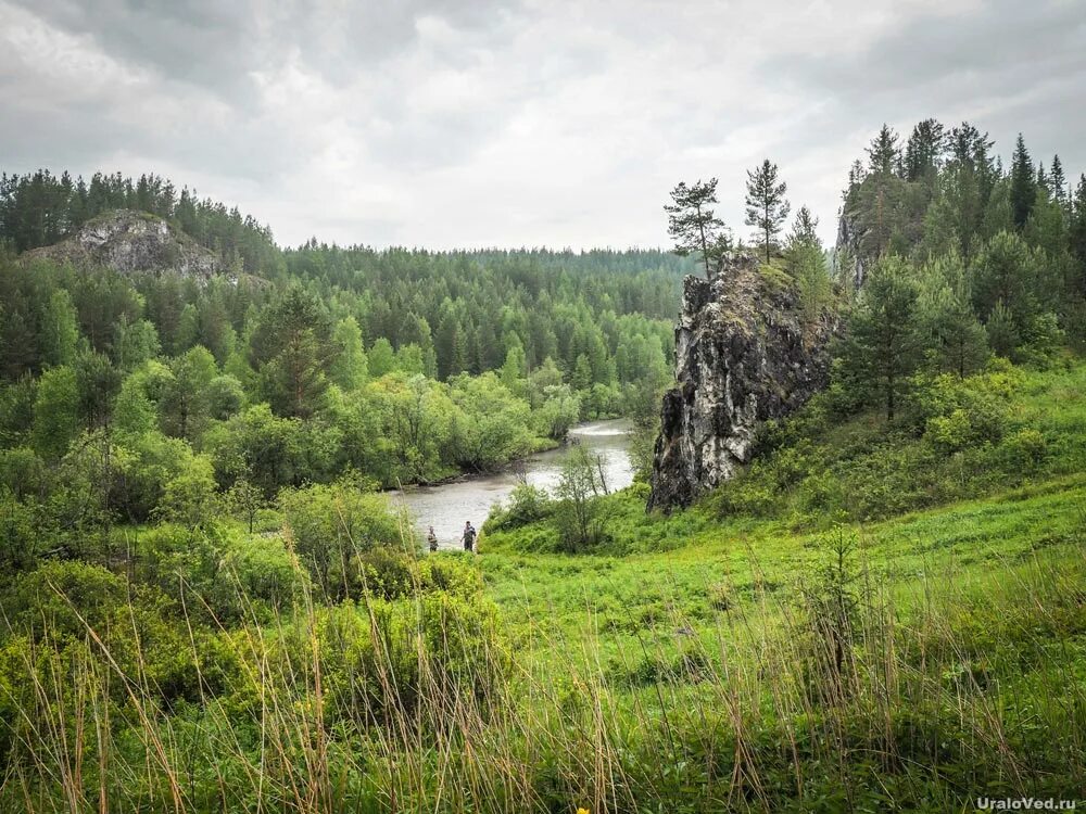 Реке северная талица свердловской. Ивдельлаг река талица. Река ивдель, северный урал. Устье реки ивдель. Талица (приток вори).