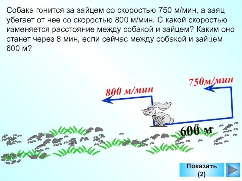 За ним по пятам гнались котята составьте. Собака погналась за зайцем. Заяц бежит со скоростью. Скорость передвижения зайца. Собака гонится за зайцем.