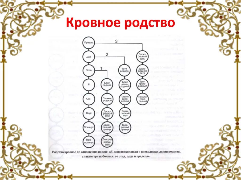 Родственниками родственниками по прямой восходящей. Кровное родство. Схема кровного родства. Степени родства схема. Родственные связи схема родства.