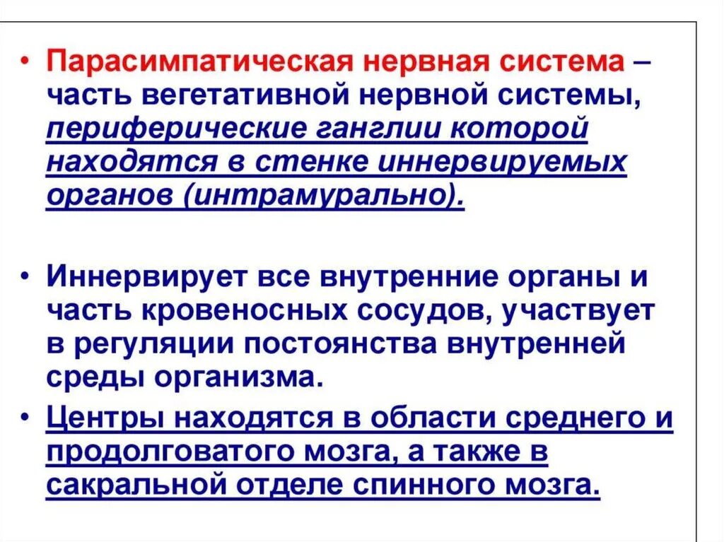 Симпатические нервы оказывают влияние. Парасимпатическая нервная система. Парасимпатическая парасимпатическая нервная система. Парасимпатическая часть вегетативной нервной системы. Парасимпатическая нервная система отвечает за процессы.