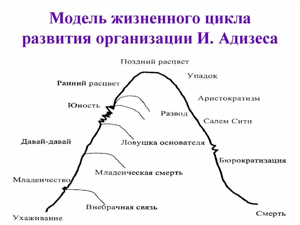 Ицхак адизес жизненный цикл организации. Модель жизненного цикла адизеса. модель адизеса жизненный цикл организации. жизненный цикл предприятия модели адизес. жизненный цикл адизеса схема.