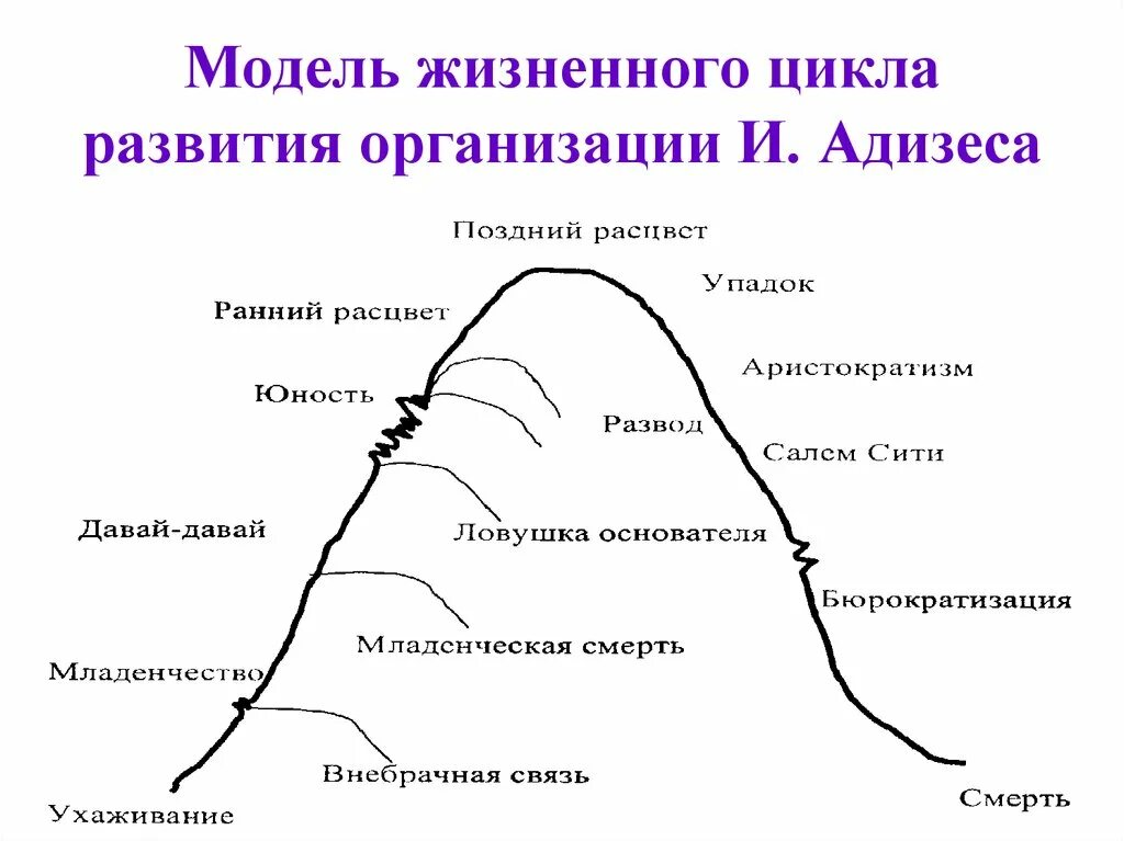 Этапы жизненного цикла организации по Адизесу. Адизес стадии жизненного цикла. Жизненный цикл предприятия модели Адизес. Модель жизненного цикла по Адизесу. Организация ее жизненный цикл