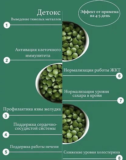 Хлорелла витамины. Хлорелла. хлорелла состав. хлорелла состав витаминов.