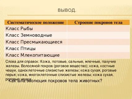Систематическое положение строение покровов тела таблица
