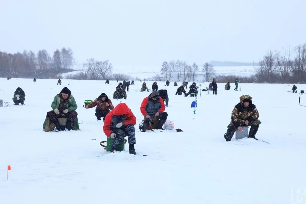 Рязань лов. Соревнования по зимнему лову рыбы Новомосковск. Соревнования по рыбной ловле Союз Строителей г. Рязань. Рыбалка в Рязани в контакте. Обучение подледному лову Рязань.