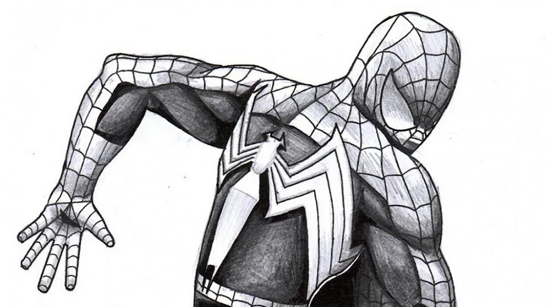 Draw spider man