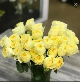 Roza4u