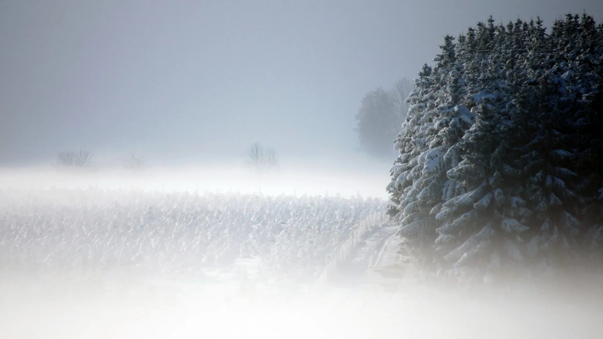 Фонограмма вьюги