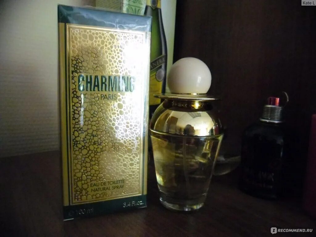 Туалетная вода Christine Darvin. Шарминг Парфюм вода. Christine Darvin Parfums charming. Туалетная вода charming 100 мл Christine Darvin.