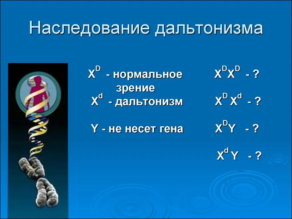 Ген вызывающий развитие дальтонизма. Наследование дальтонизма. Ген дальтонизма. Наследование далтонизм. Дальтонизм наследуется.