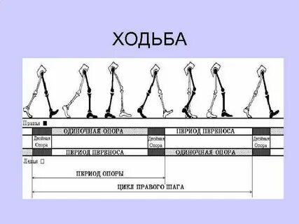 Период опоры