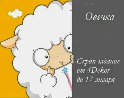 Сколько лизе барашек