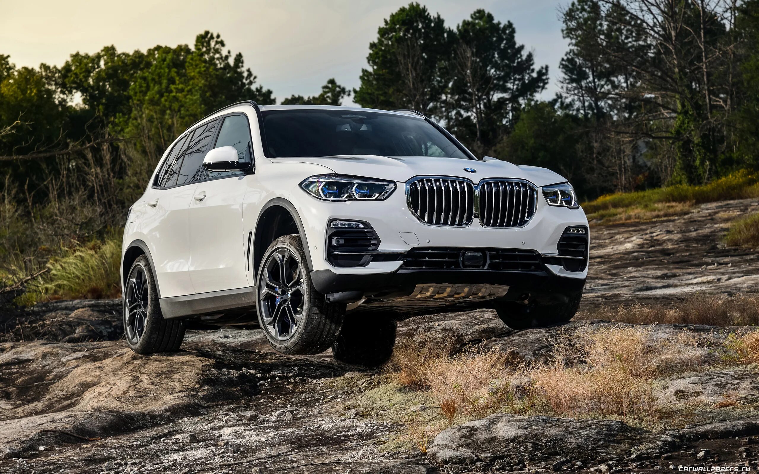 Бмв х5 40i. BMW x5 xdrive30d. BMW x5 d30 2019. BMW x5 g05 off Road. BMW x5 g05 30d.