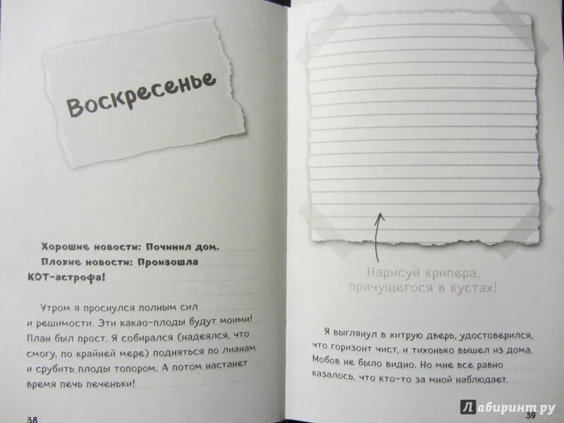 Включи дневник книга 4. Дневник Стива. Дневник Стива 4 книга. Дневник Стива страницы. Дневник Стива страницы книги.