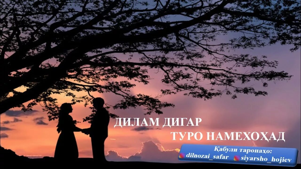 Ба дигар. Туро намехохад. Ман туро Намехохам. Дигар Намехохам. Дигар Намехохам туро.