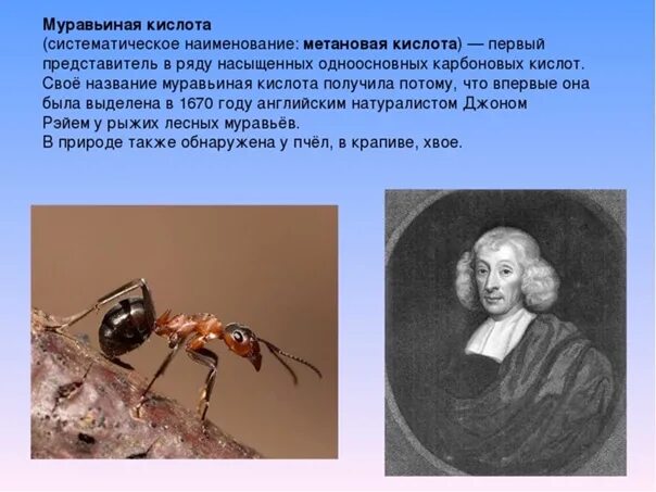 Как применять муравьиную кислоту. Как применять муравьиную кислоту