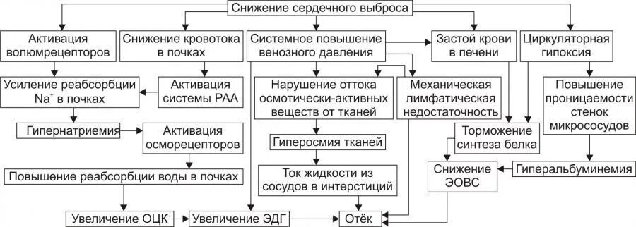 Сердечная недостаточность схема. Патогенез сердечных отеков патофизиология. Механизм отеков при сердечной недостаточности. Схема патогенеза сердечной недостаточности. Механизм развития отеков при сердечной недостаточности.