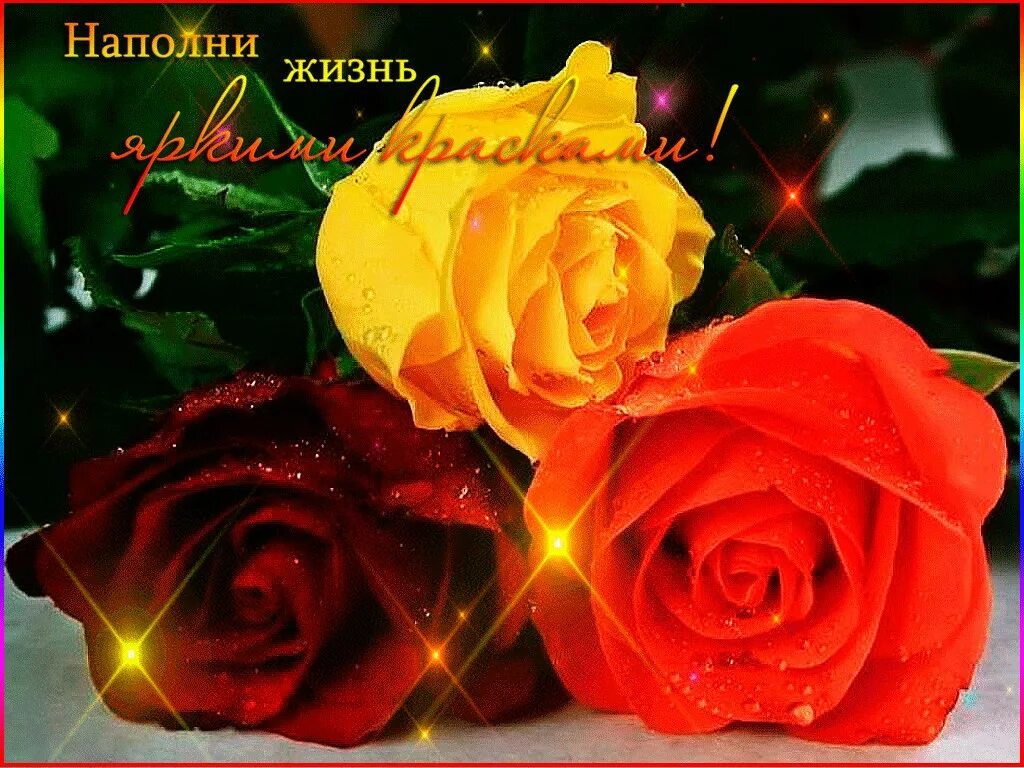 Открытки с добрым утром четверга. Душевного тепла. Поздравления с днем рождения белые розы. С днём женского счастья розы. Пусть в жизни будут розы.