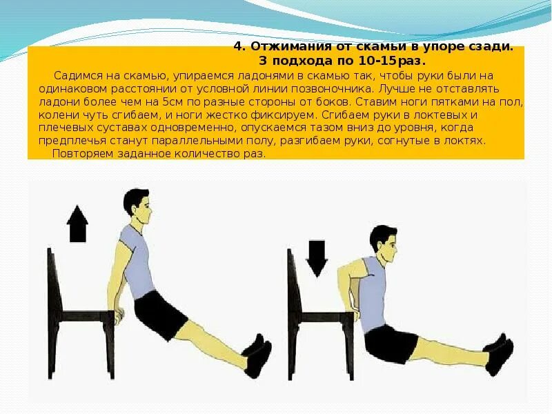 Жим гантелями на грудные мышцы. Подхода по 15 раз. Берпи 5 подходов по 5 повторений. Кор-тренировка что это. Комплексы упражнений для втягивания пупка.