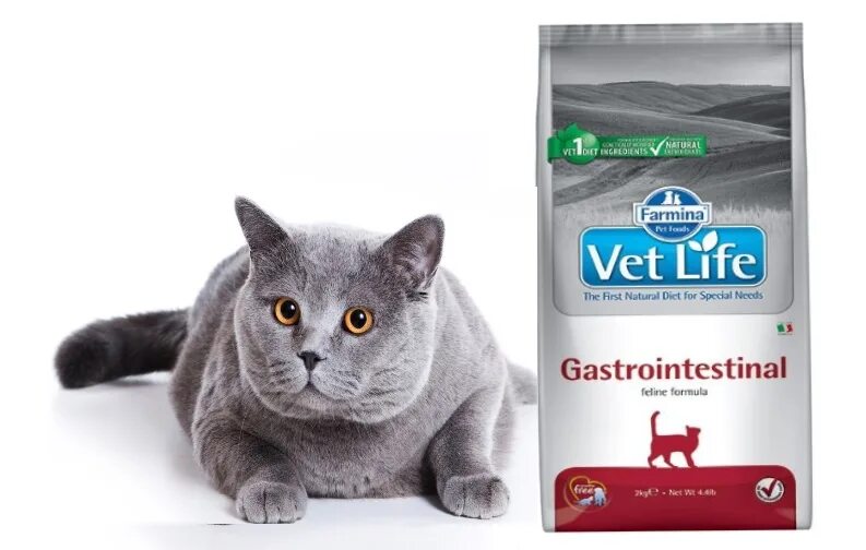 Корм farmina vet life gastrointestinal. Фармина Gastrointestinal для кошек. Vet Life Gastrointestinal для кошек. Фармина Ветлайф гастроинтестинал для кошек. Фармина гастроинтестинал д кошек.