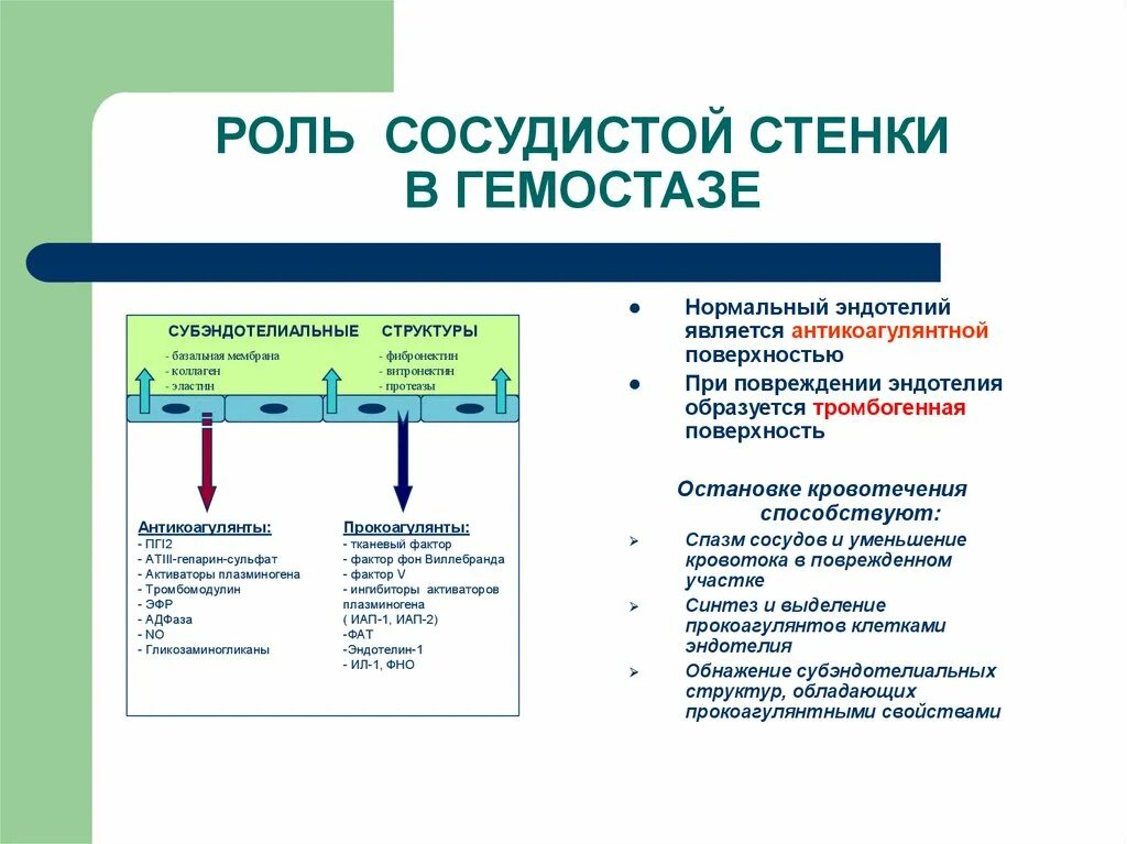 Диагностика гемостаза