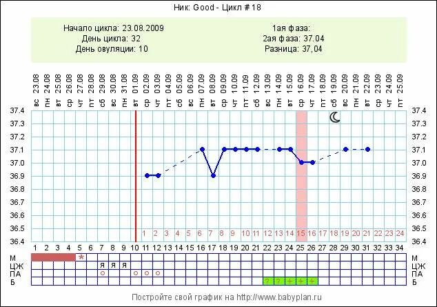 Беременность без овуляции. График овуляции календарь. Беременный график с овуляцией в картинках. ТБ при беременности график. Наши беременные графики.