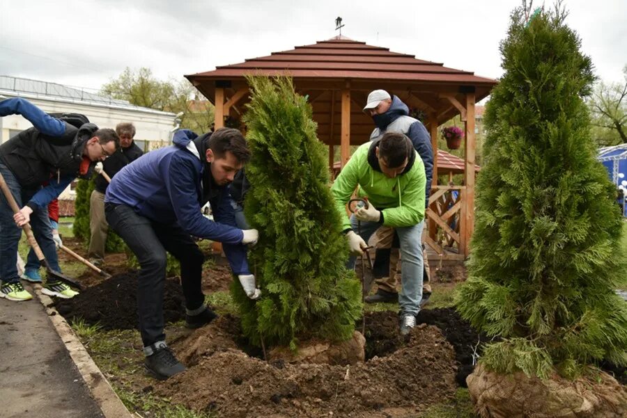 Высадка деревьев и кустарников. Высадка деревьев и кустарников на участке. Посадка деревьев. Посадка кустарников.