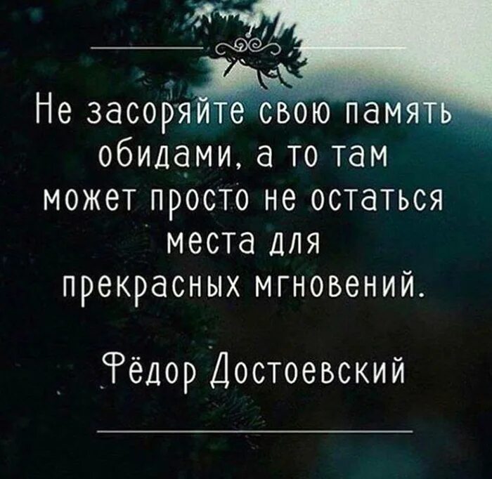 Цитаты про память. Высказывания о памяти. Цитаты о памяти человека. Память высказывания афоризмы.