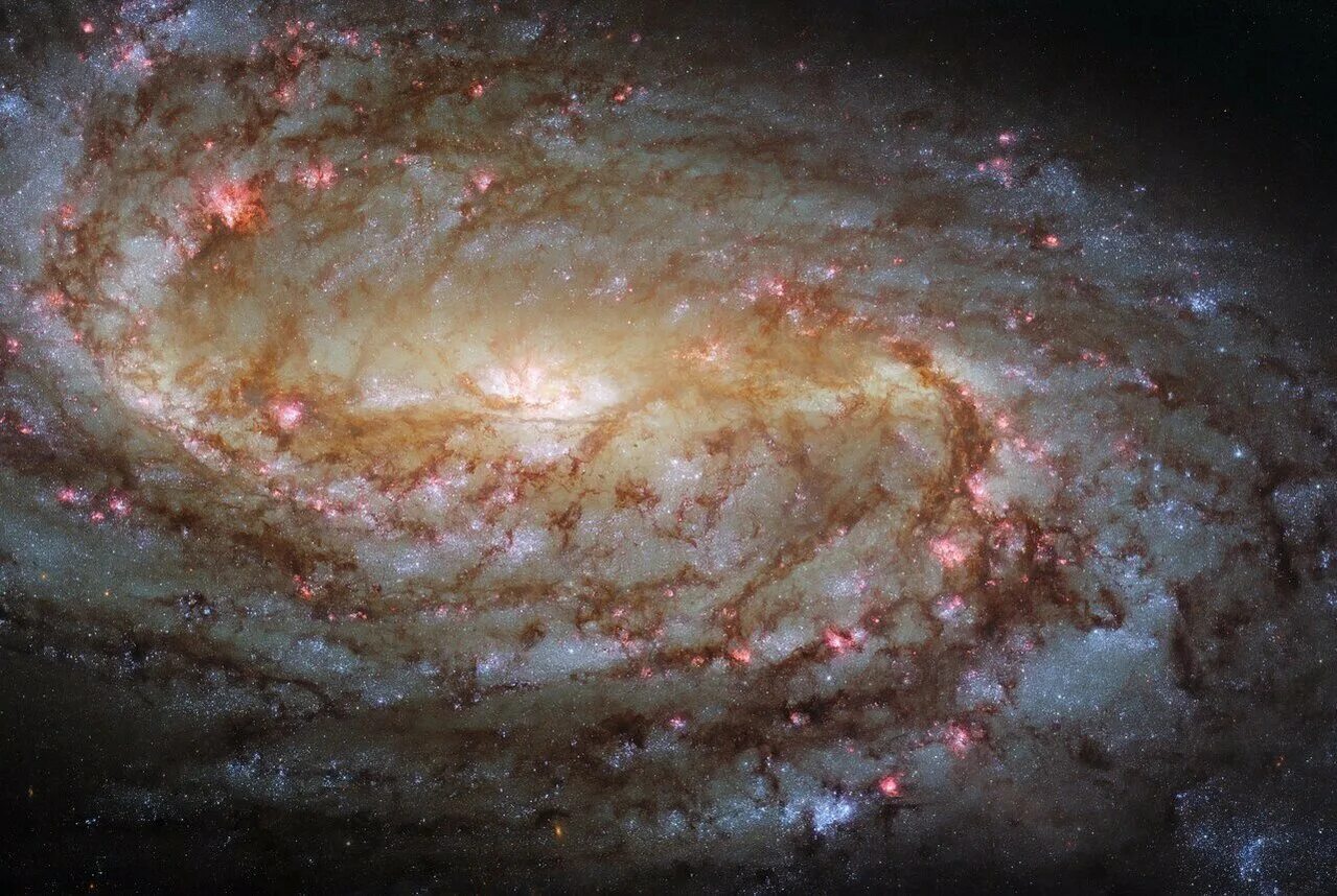 Nasa hubble archive первый сайт