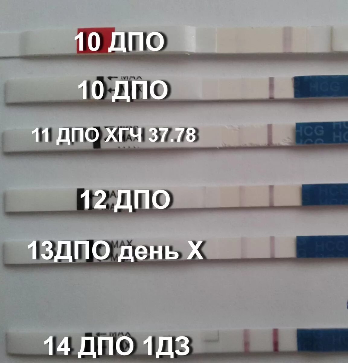 Дополнительное профессиональное образование тесты. 9-10 ДПО тест на беременность отрицательный. Тесты ДПО. 9 ДПО тест на беременность. 13 День ДПО.