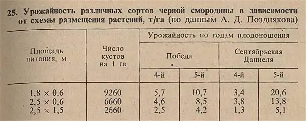 Плотность смородины