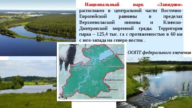 Тверская область нац. Парк Завидово. Национальный парк Завидово территория. Заповедник Завидово Московской области. Завидово заповедник на карте. Какая природная зона в тверской области