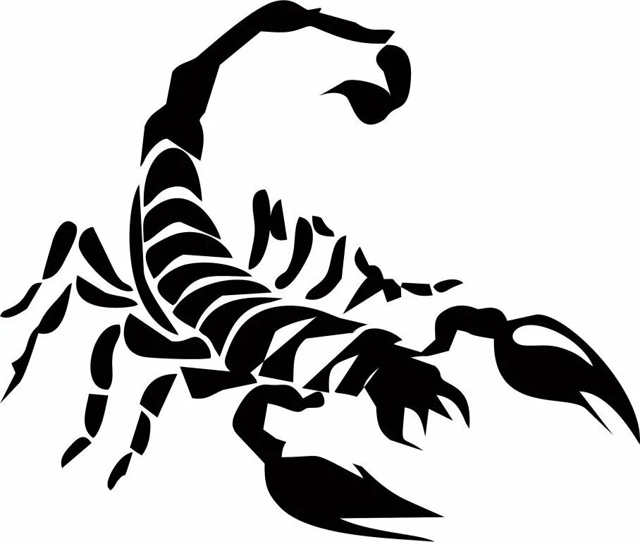 Scorpion white. Скорпион. Наклейка Скорпион. Скорпион рисунок. Скорпион силуэт.