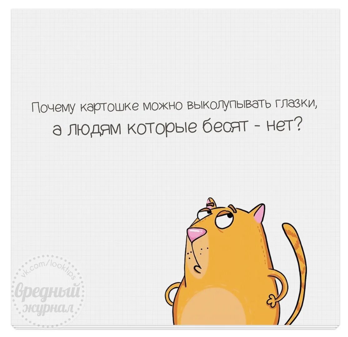Почему картошке можно. Почему картошке можно выколупывать глазки. почему картошке можно выколупывать глазки а людям которые. почему картошка можно выкалупывать глаз. выколупывать глазки.