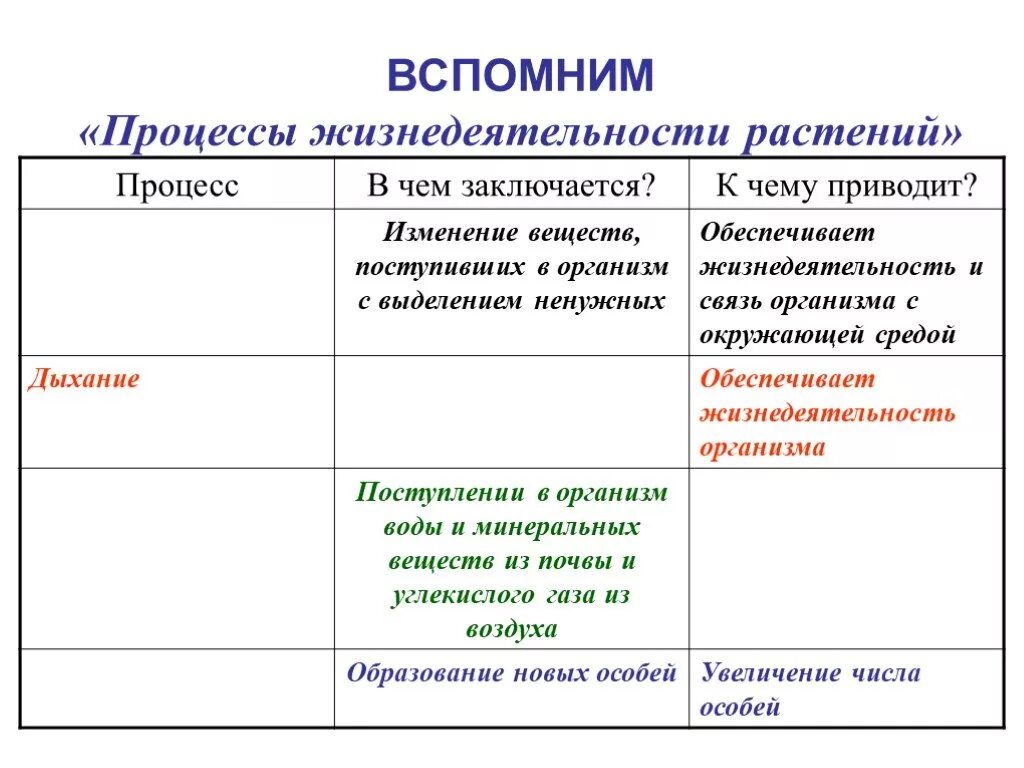 Изменение организмами в процессе жизнедеятельности. Таблица процессы жизнедеятельности растительных организмов. Основные процессы жизнедеятельности растительного организма. Процессы жизнедеятельности растительных организмов. Процессы жизнедеятельности растительных организмов кратко.