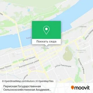 Магазин сцена пермь