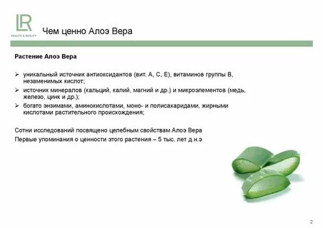 Алоэ витамины