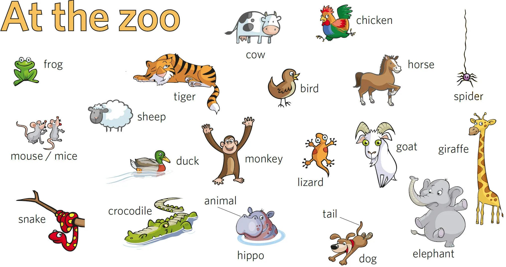 I ve got a pet chimp перевод. Животные на английском для детей. Питомцы на английском. Детские карточки по английскому языку животные. Животные на английском языке с переводом.