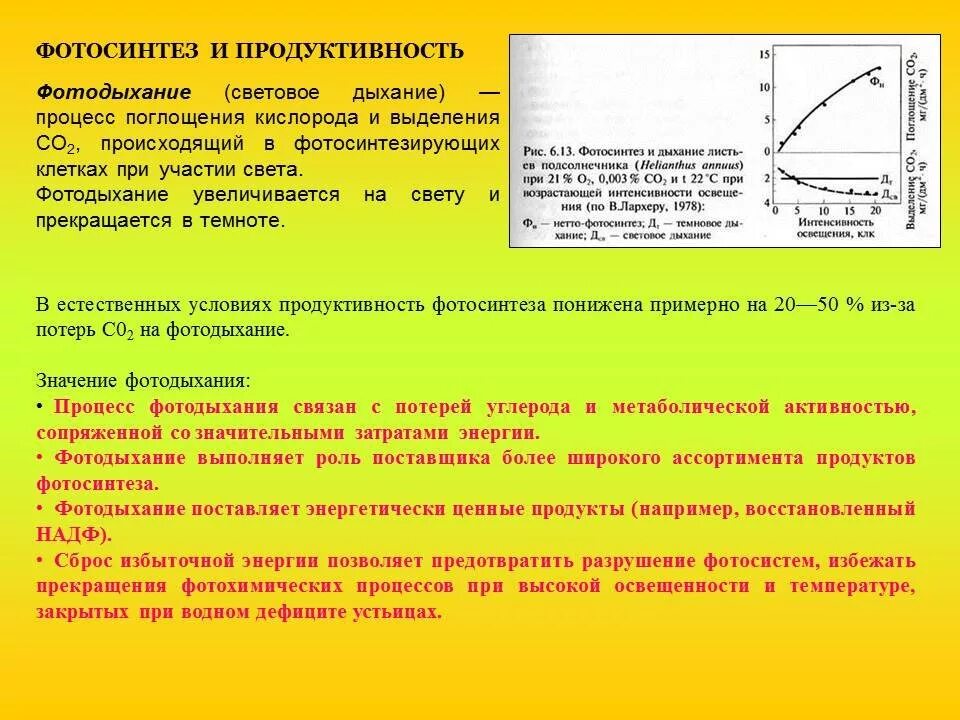 Схема зависимости фотосинтеза и дыхания растения от температуры. Влияние температуры на фотосинтез. Фотосинтез достигает оптимума при более низких температурах. Влияние температуры на фотосинтез. Влияние кислорода на интенсивность фотосинтеза.