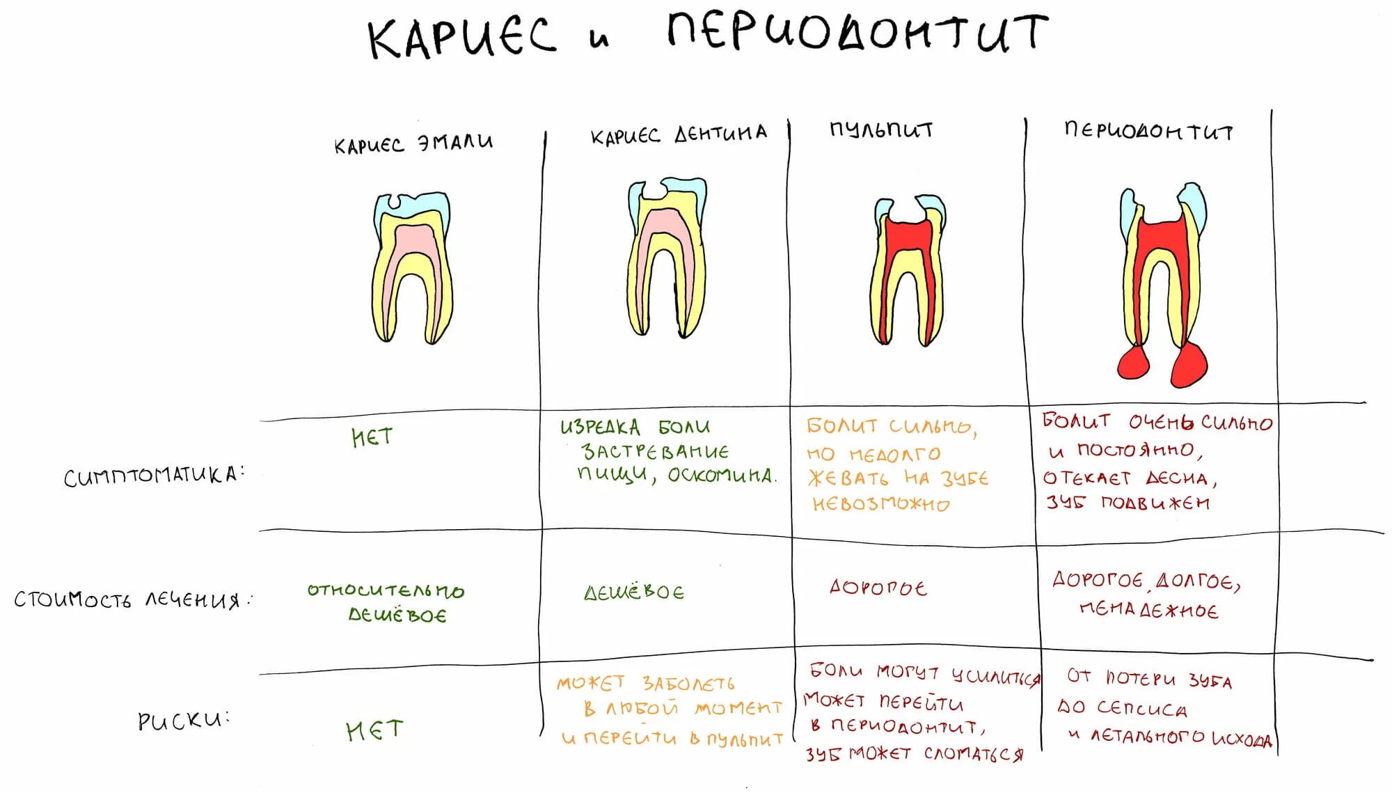 Рекомендации после депульпирования зубов. Когда в марте удалять зубы