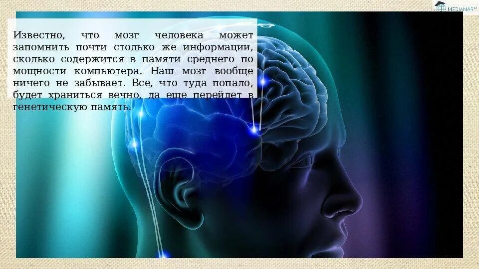 Сколько в мозгах памяти. Мозг память. Мозг и информация. Информация в памяти человека. Мозг человека информация.