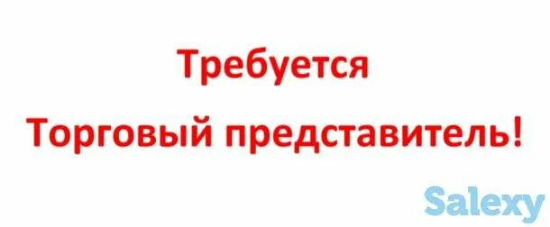 Требуется торговый представитель. Вакансия торговый представитель. Торговый представитель. Торговые представители хабаровск. Требуется торговый представитель.