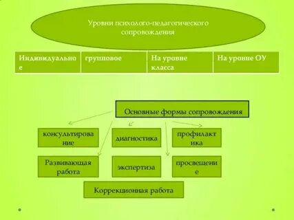 Уровни психолого педагогического изучения
