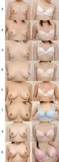 Different breast sizes and types. 